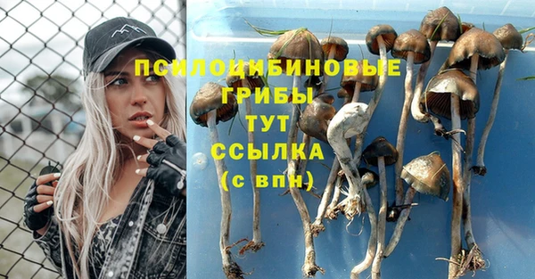 мдма Бронницы