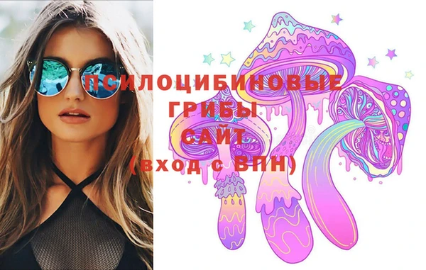 ПСИЛОЦИБИНОВЫЕ ГРИБЫ Верхнеуральск