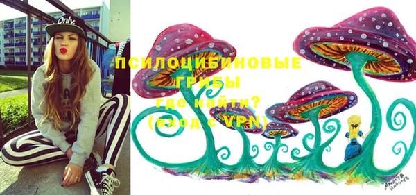 скорость Бородино